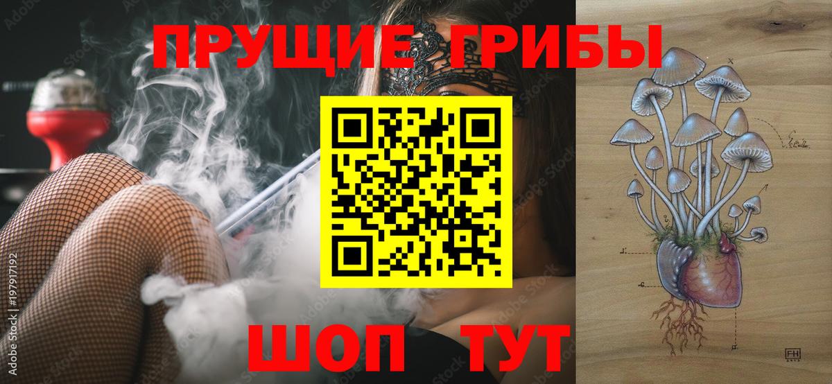 Галлюциногенные грибы прущие грибы Северск