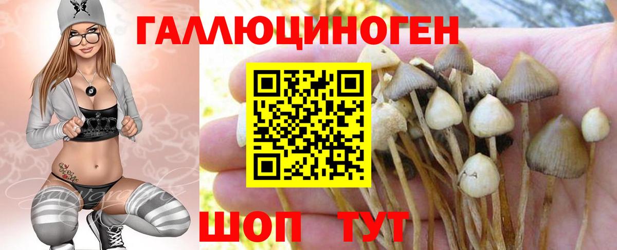 МЕФ   Кокаин  ГАШ  Вход с VPN  ГАШ  Экстази  Северск  Марихуана 